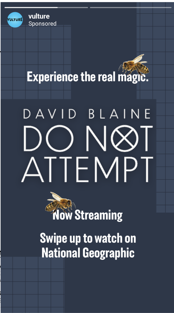 IG Stories takeover: experience the real magic, now streaming